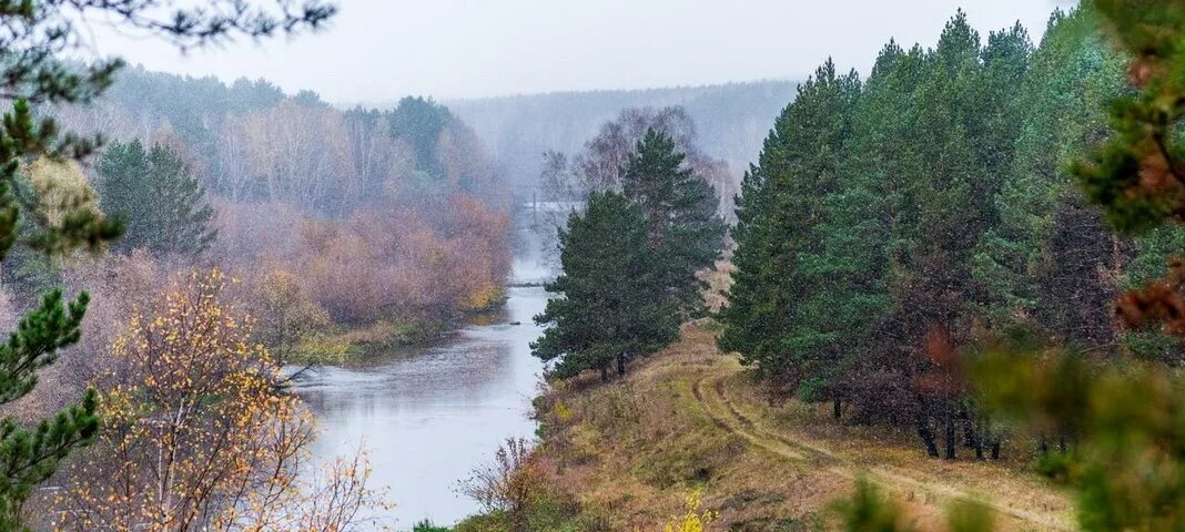 Каштакский бор