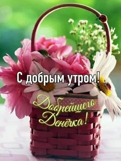 Добрый день благодарю вас