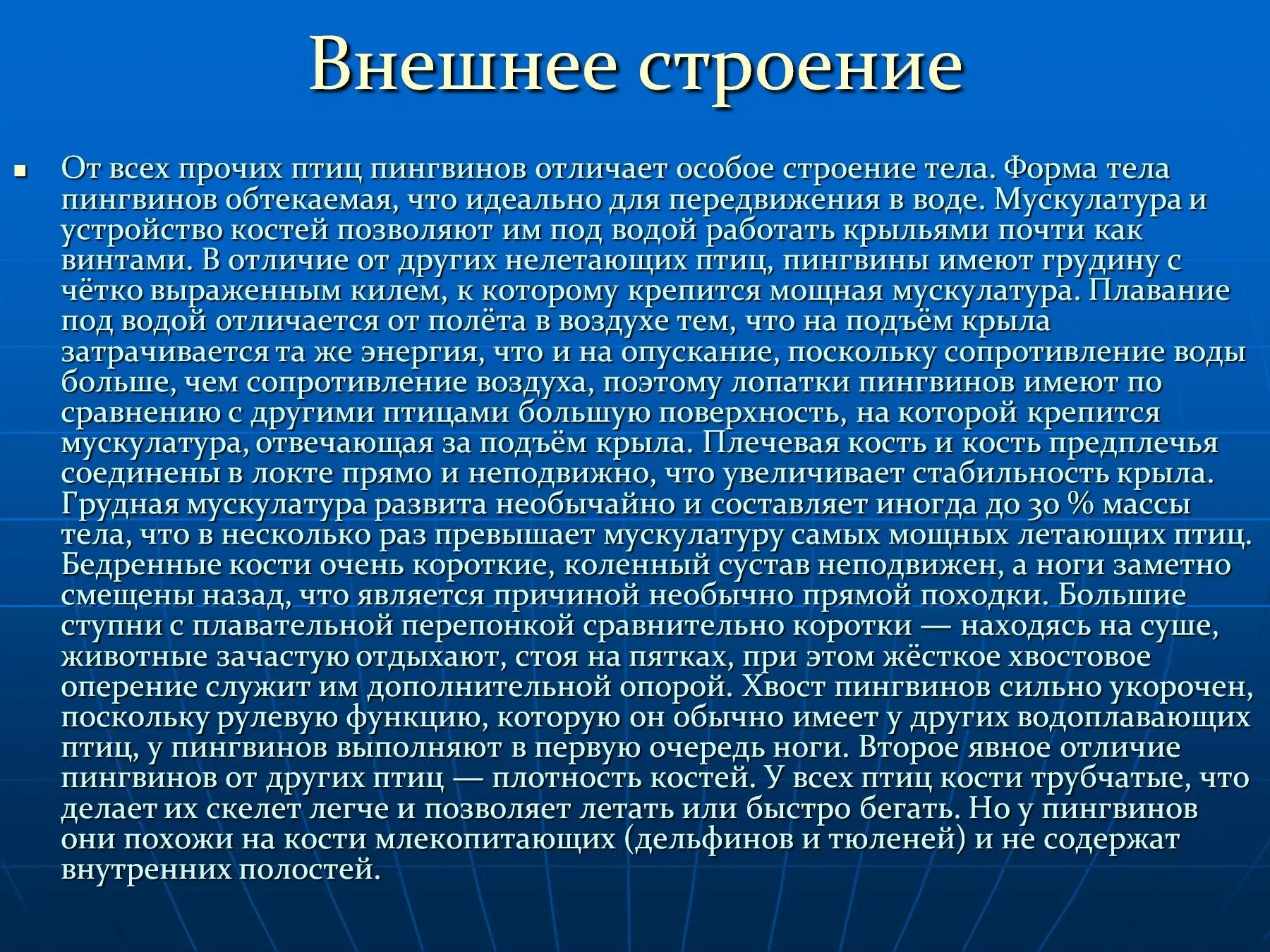 Подробное краткое содержание по главам капитанская