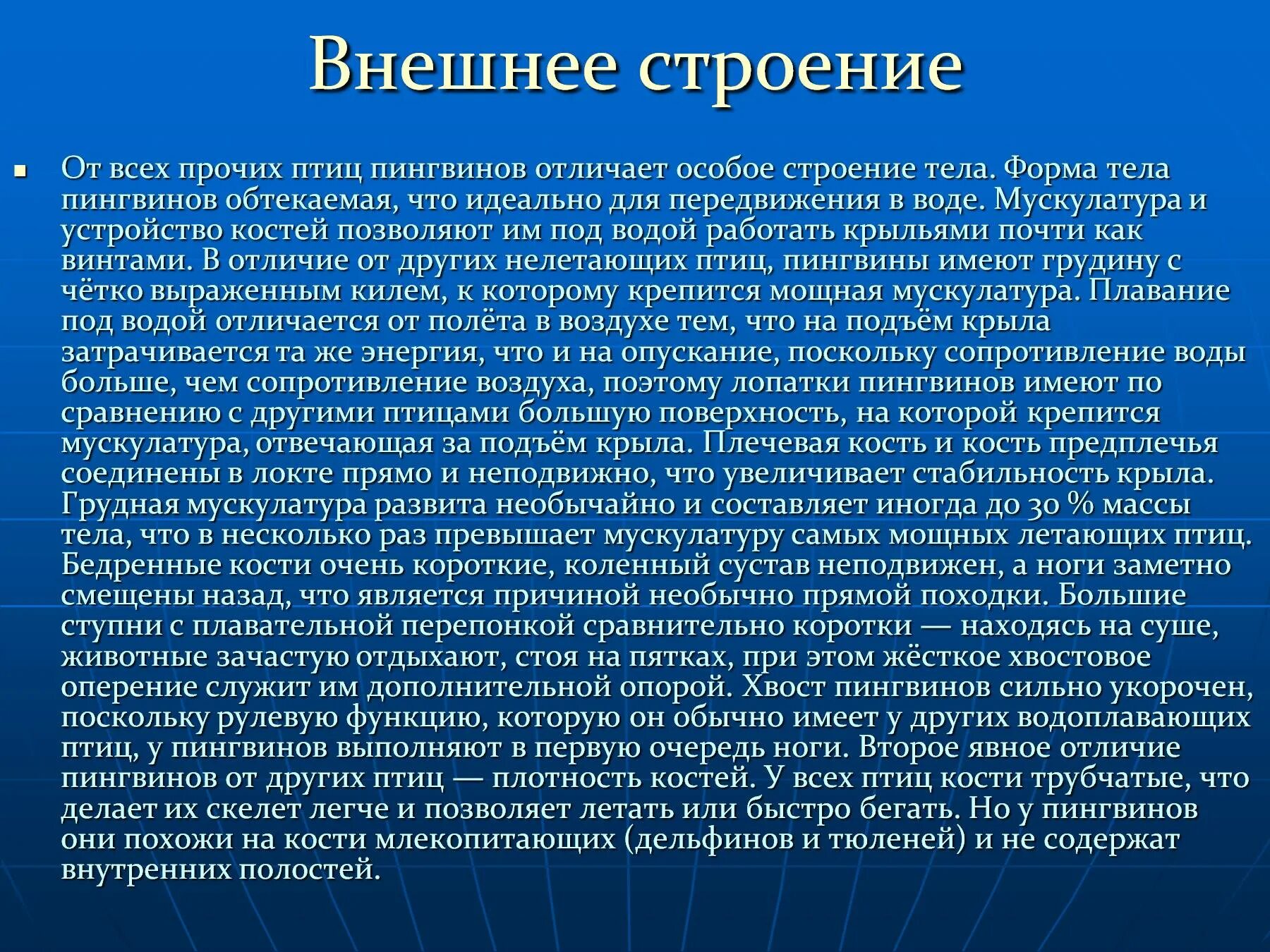 Капитанская дочка краткое содержание видео