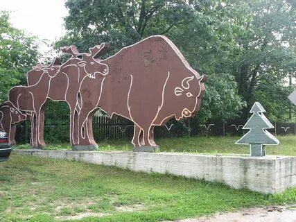 Животные брестская область