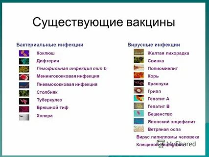 Вакцинация от вирусных инфекций