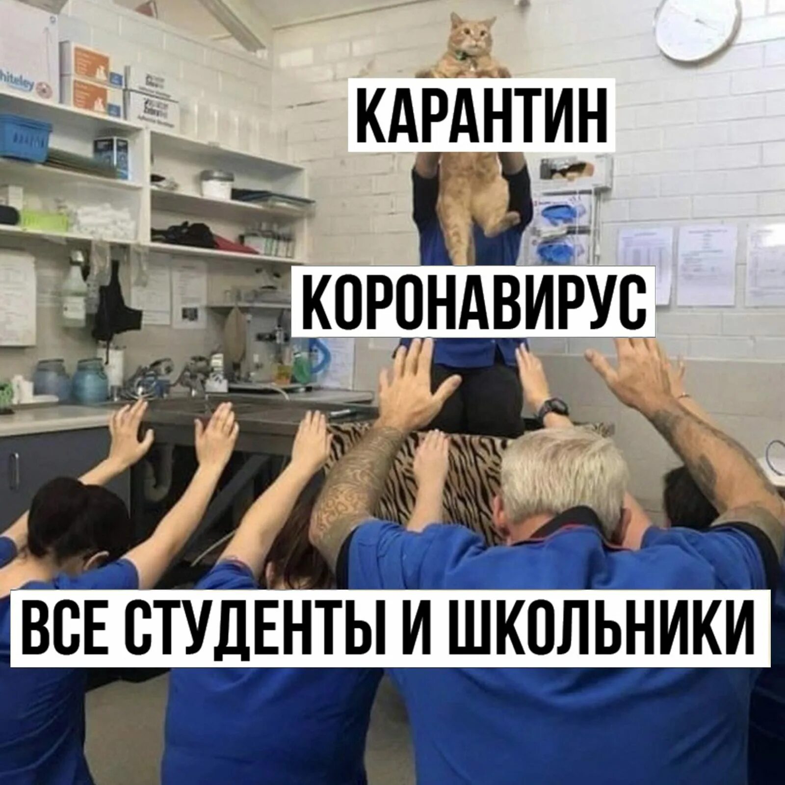 Как справиться без парня на карантине