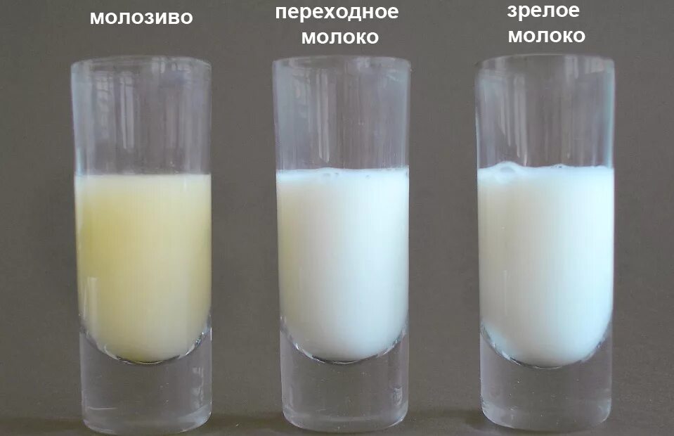Куда Девать Сперму После Секса