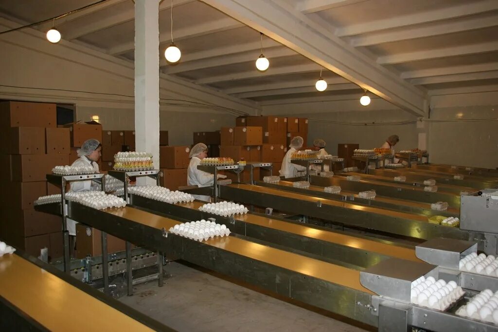 Сортировка и упаковка. Фрязино завод майский чай. Упаковка товара на складе. Сортировка и упаковка. Упаковщики фасовщики.