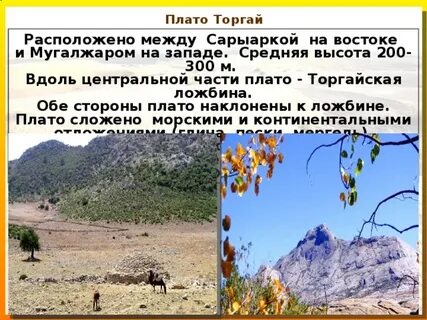 Плато торгай