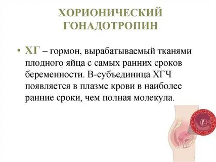 Гонадотропин гормон