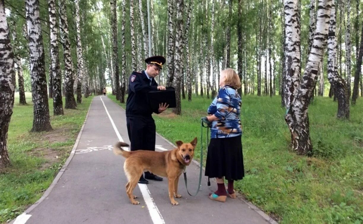 Выгул собак. Собака в общественном месте. Домашние животные в общественном месте. Штраф за выгул собак.