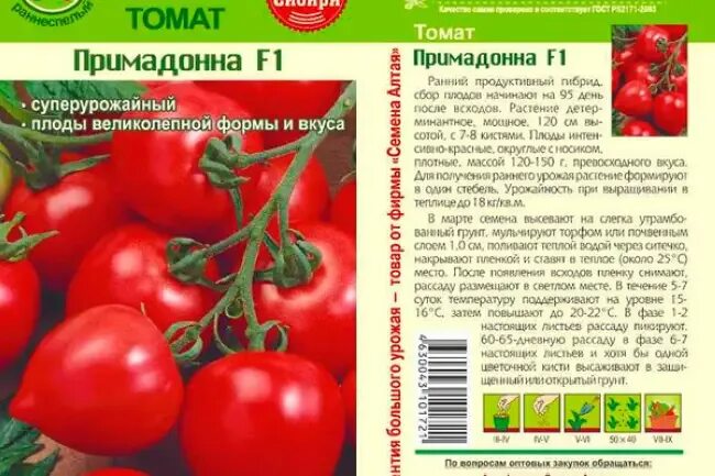 Семена томат Примадонна f1. Томат гибрид Примадонна. Сорт помидор Примадонна. Помидоры примадонна описание
