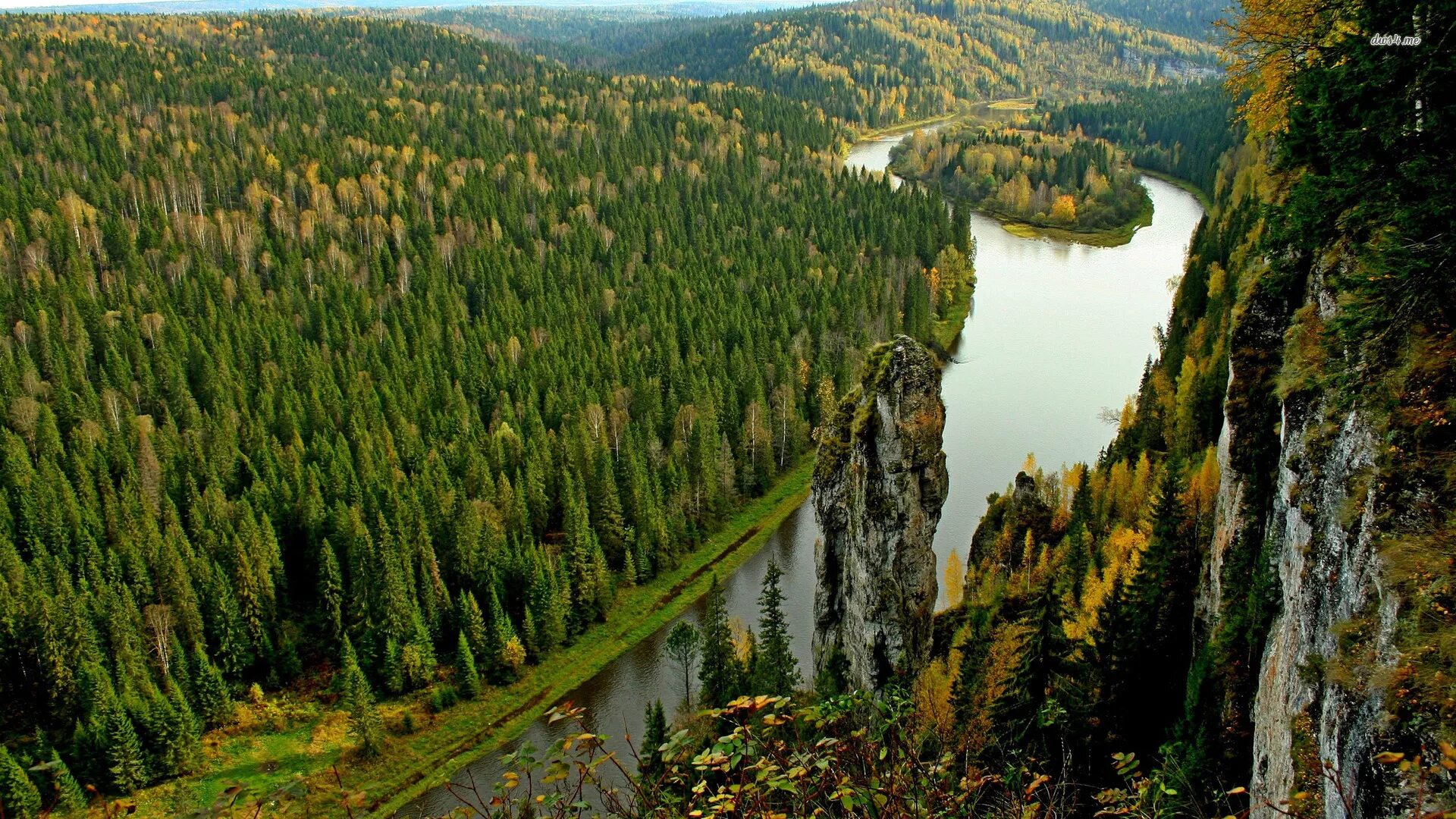 Разнообразие тайги