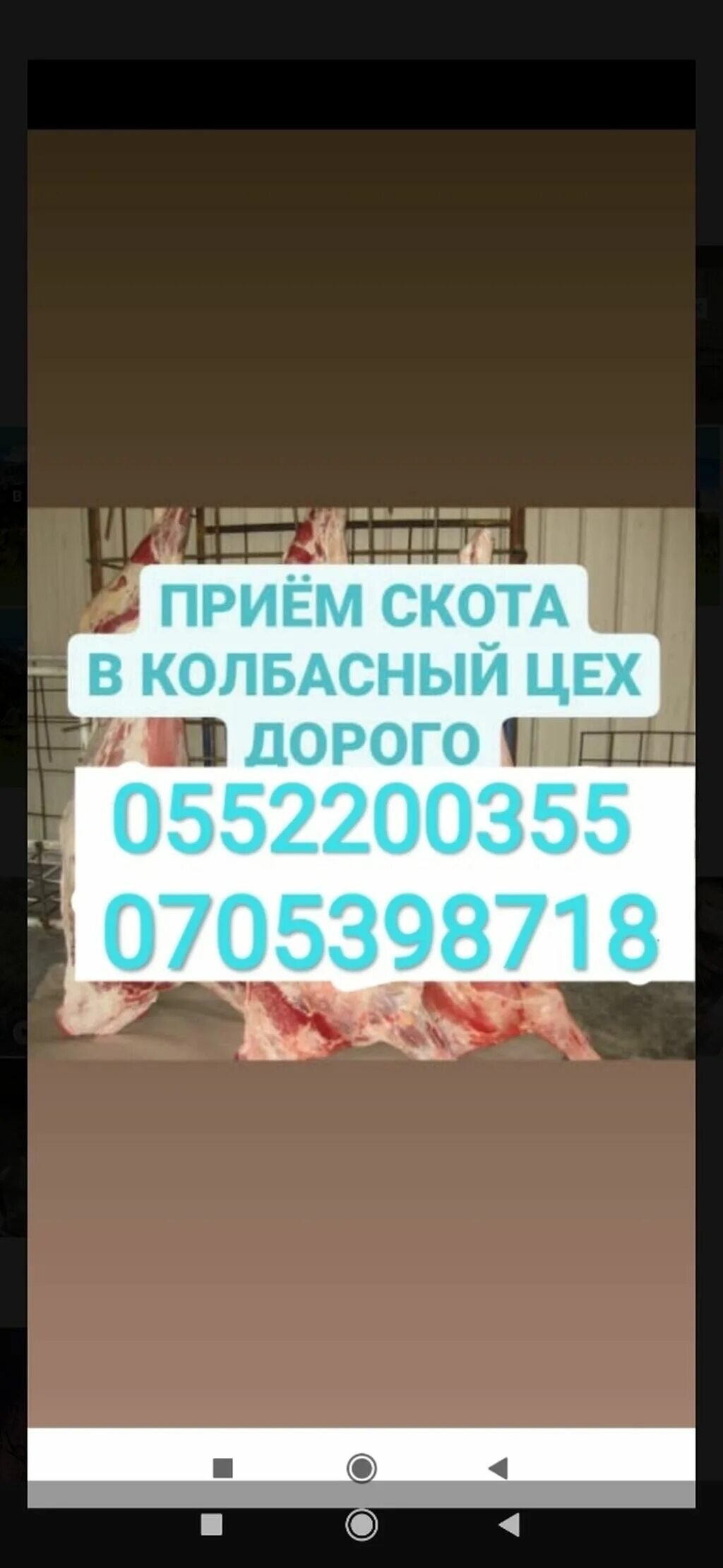 Скупщик скота 6. Скупщик скота 6. Скупщик скота 6. Скупщик скота 6. Скупщик скота 6.