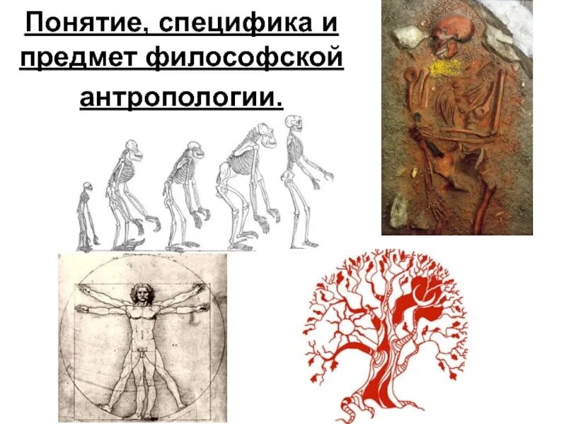 Идеи антропологии. Предмет философской антропологии. понятие и специфика философской антропологии. специфика антропологии. особенности философской антропологии.