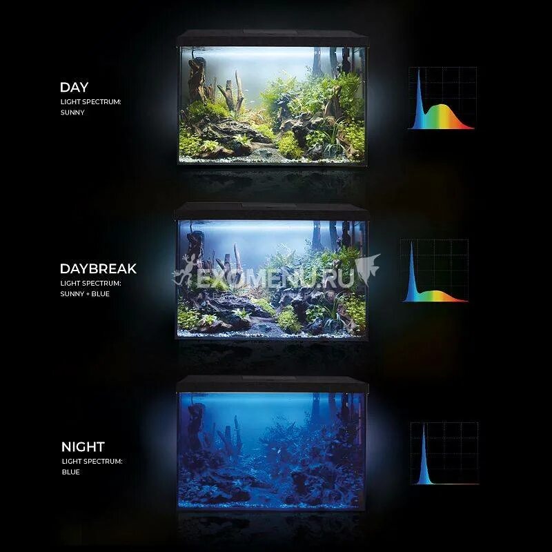 Аквариум aquael leddy set plus 40. Leddy day night. Аквариум aquael leddy set plus 40. Leddy day night. Aquael leddy set plus 40 day night 25 л.