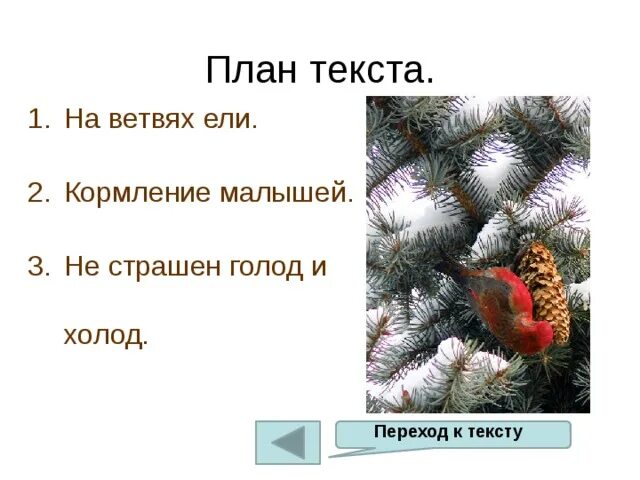 Обучающее изложение клесты 3 класс. Изложение клесты. изложение 3 класс 2 четверть школа россии клесты. русский язык 3 класс изложение клесты. обучающее изложение клесты 3 класс школа россии.