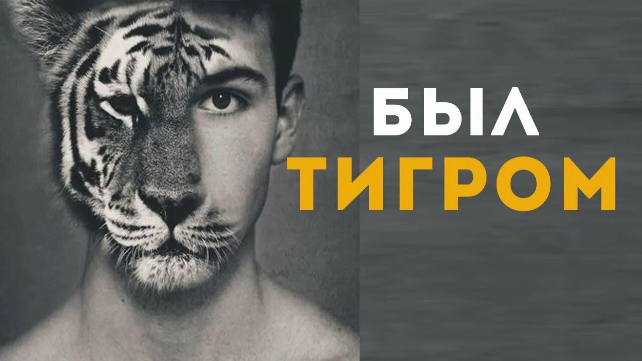 Реинкарнация в тигра. Перерождение в тигра. История перерождения в тигра. Арт история перерождения в тигра.