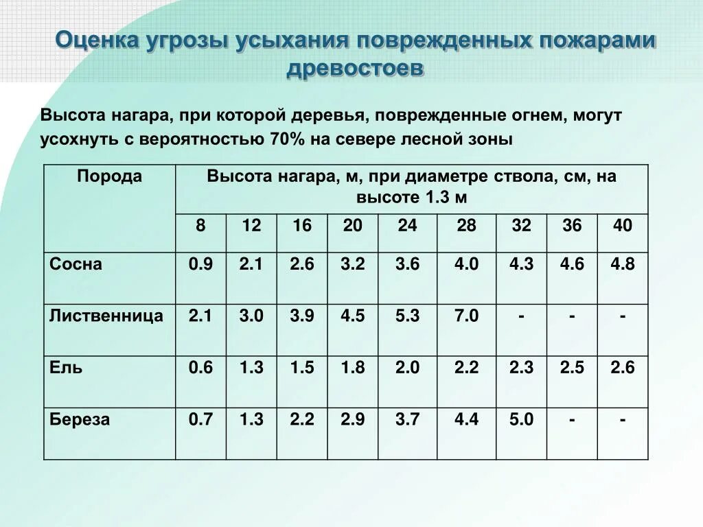 Ствола на высоте 1 3. Повреждения древостоя. Высота древостоя. Диаметр ствола сосны. Таблица повреждение деревьев.