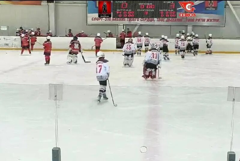 пфо 2010 хоккей 2023 2024 группа а