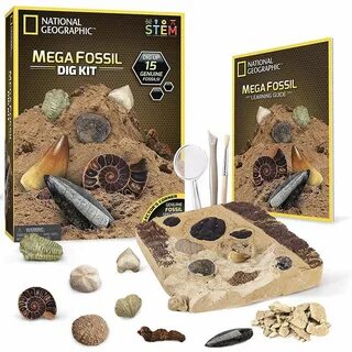 Dig kit