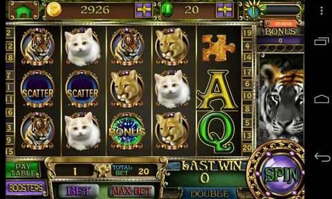 Игра дикие коты