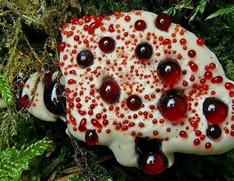 Самое необычное сообщение. Самое необычное сообщение