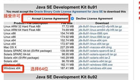 Java 10 32 bit