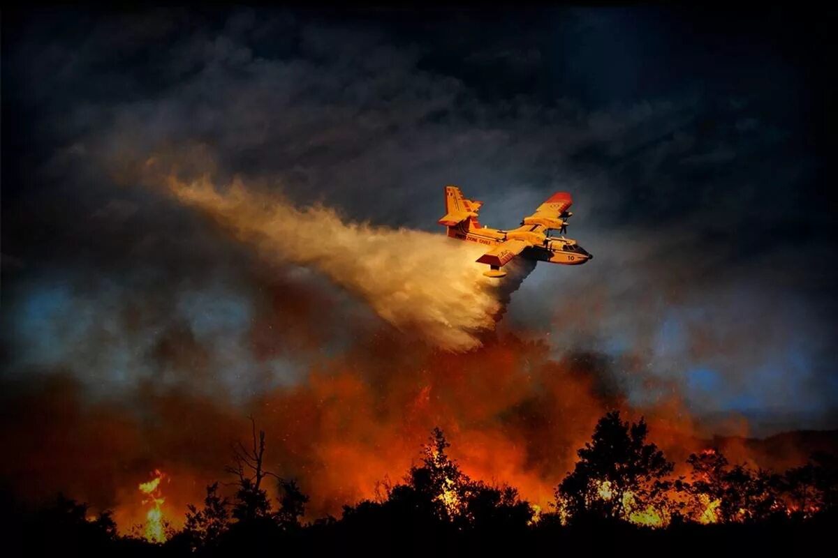 Тушение лесных пожаров. Огни самолета. Тушение пожара в лесу. Лесной пожар с самолета.