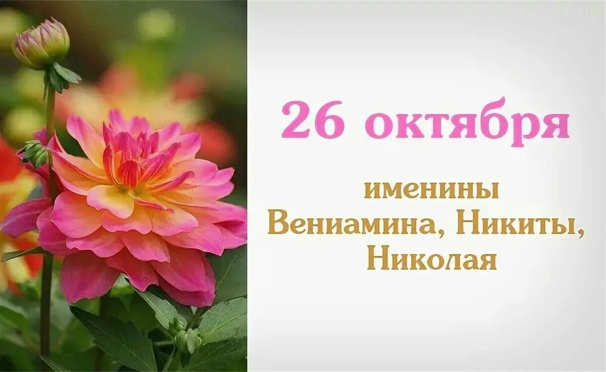 Сегодня был день ее именин егэ. 26 Октября именины. 26 Октября день. 26 Октября именинники. 3 Октября именины.