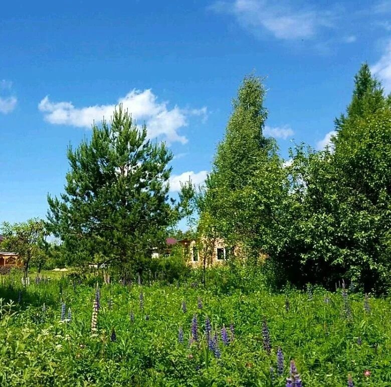 Притыкино дубна. Деревня нутромо кимрский район. Бурцево кимрский район. Дубна чеховский район. Село дубна чеховского района.