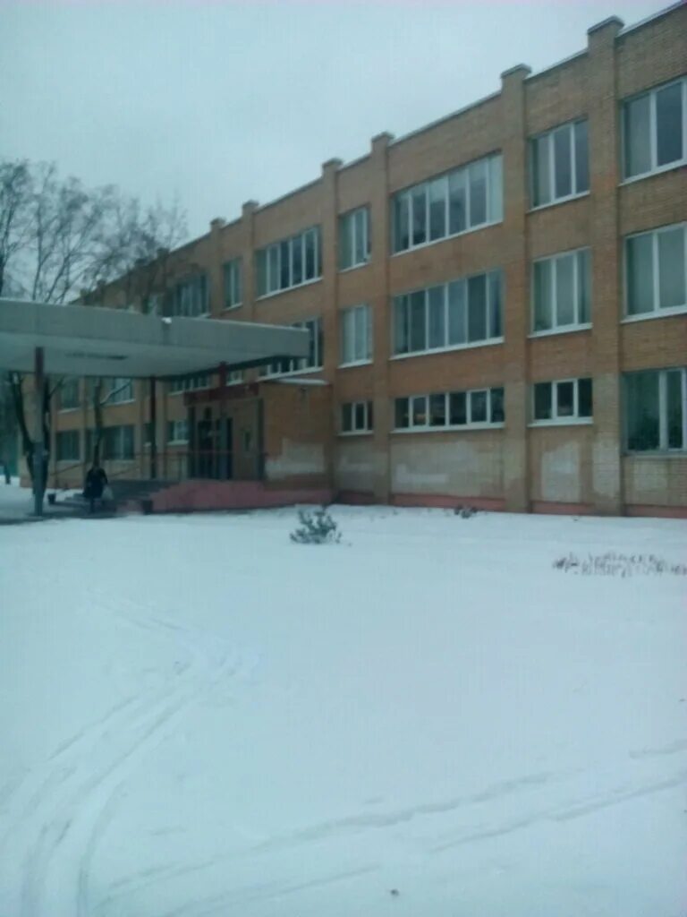 Школа 2 тихонова королев. Пятая школа королев. Мбоу сош 2 королев. Школа 5 королев официальный сайт. Пятая школа королев.