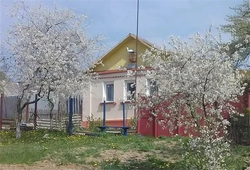 Купить дом в ивне белгородской. Посёлок Ивня Белгородской области. Посёлок городского типа Ивня. Ивня посёлки городского типа Белгородской области. Алисовка Ивнянский район.