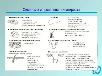 Симптомы гипотиреоза у женщин 30