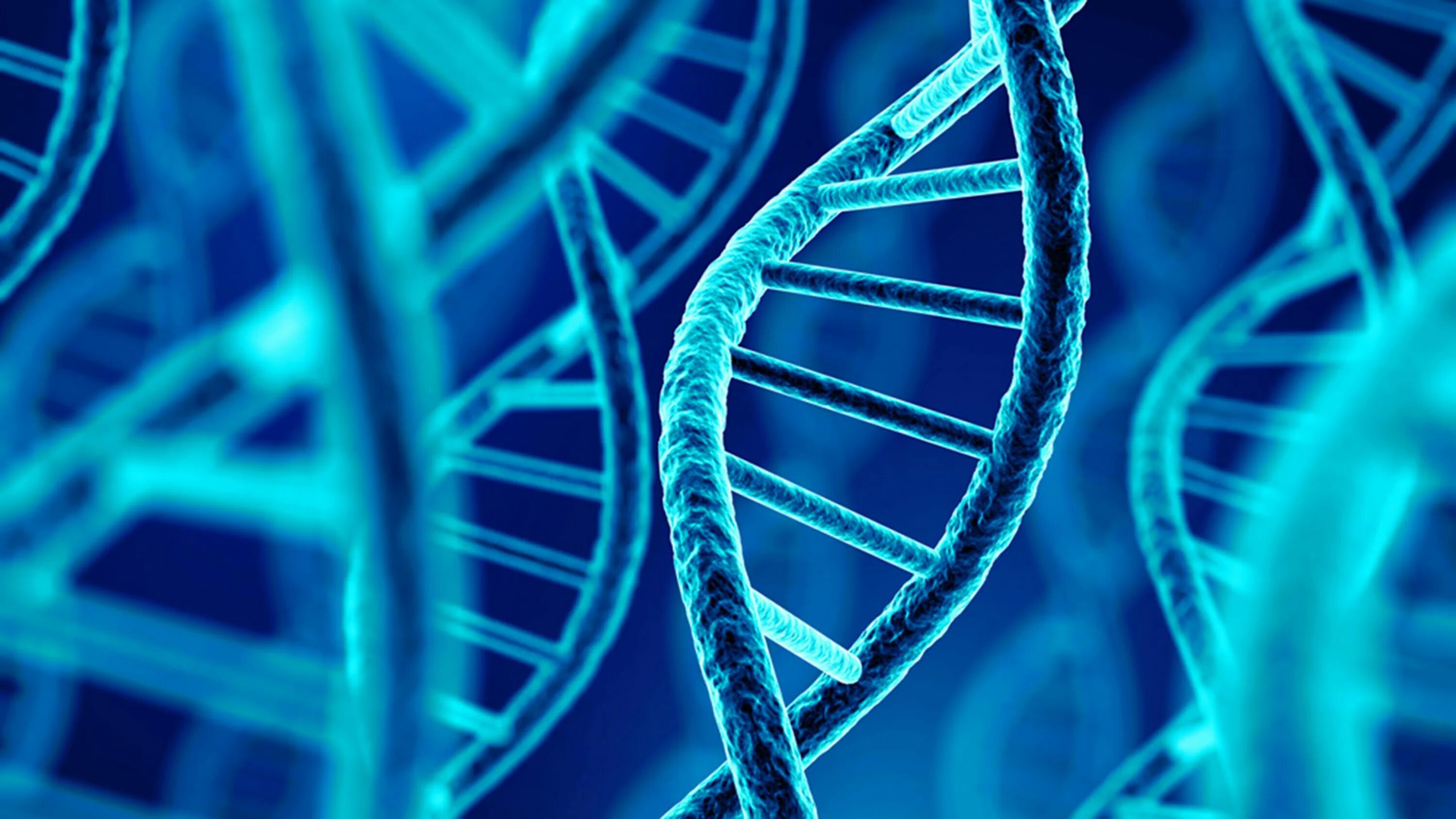 Молекула днк человека. Картинка днк человека. Днк генетика биология. Dna fi. Цепочка днк.