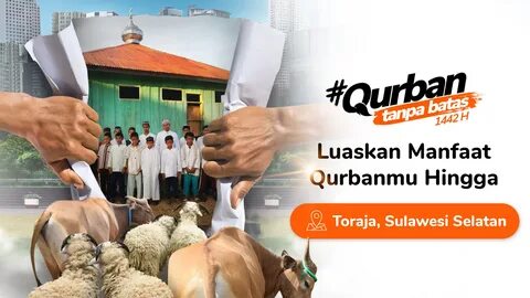 11 Wilayah Penyaluran Qurban di Sulawesi Via Kitabisa - Kitabisa.com