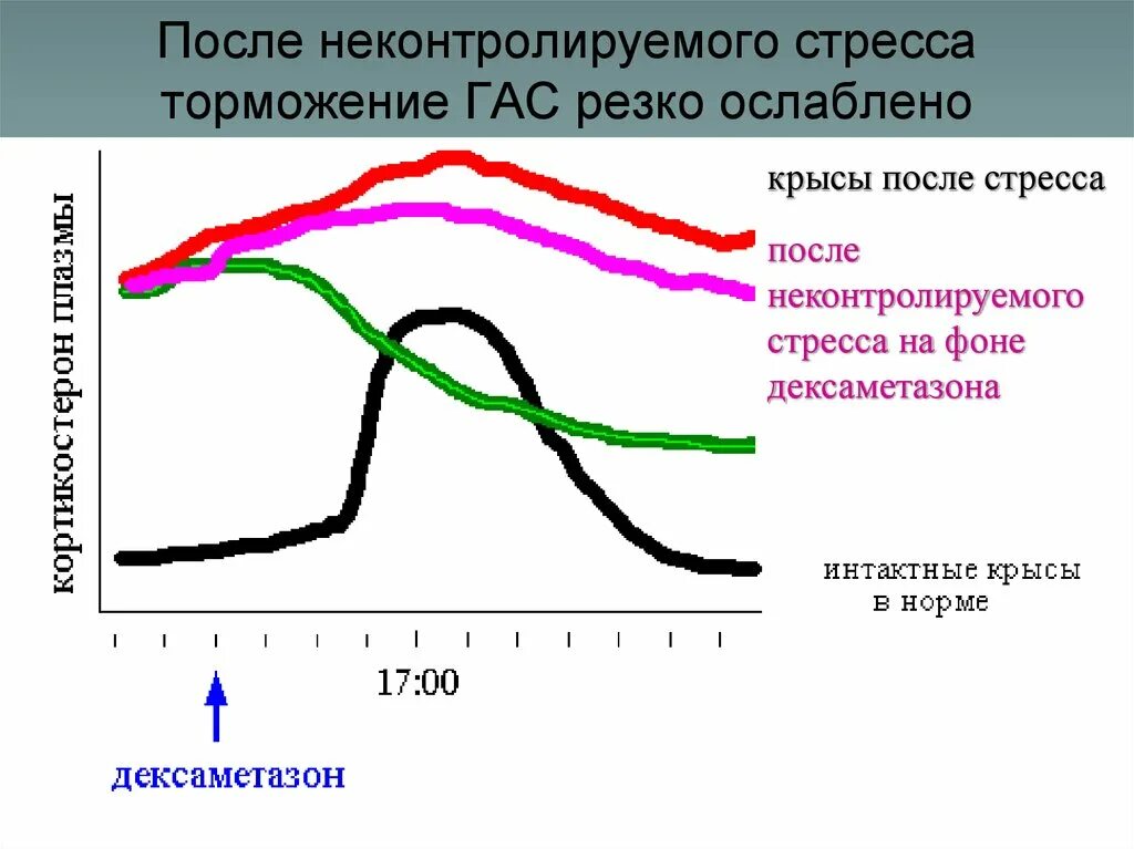 Гормон стресса у женщин. Человек в стрессе. Когнитивные симптомы стресса. Негативное влияние стресса на организм человека. Стресс стадии развития стресса.