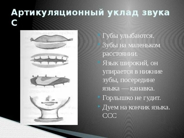 Артикуляционный уклад з. Артикуляционный уклад звука с. Правильный артикуляционный уклад звука с. Артикуляционный уклад звука сь. З артикуляция