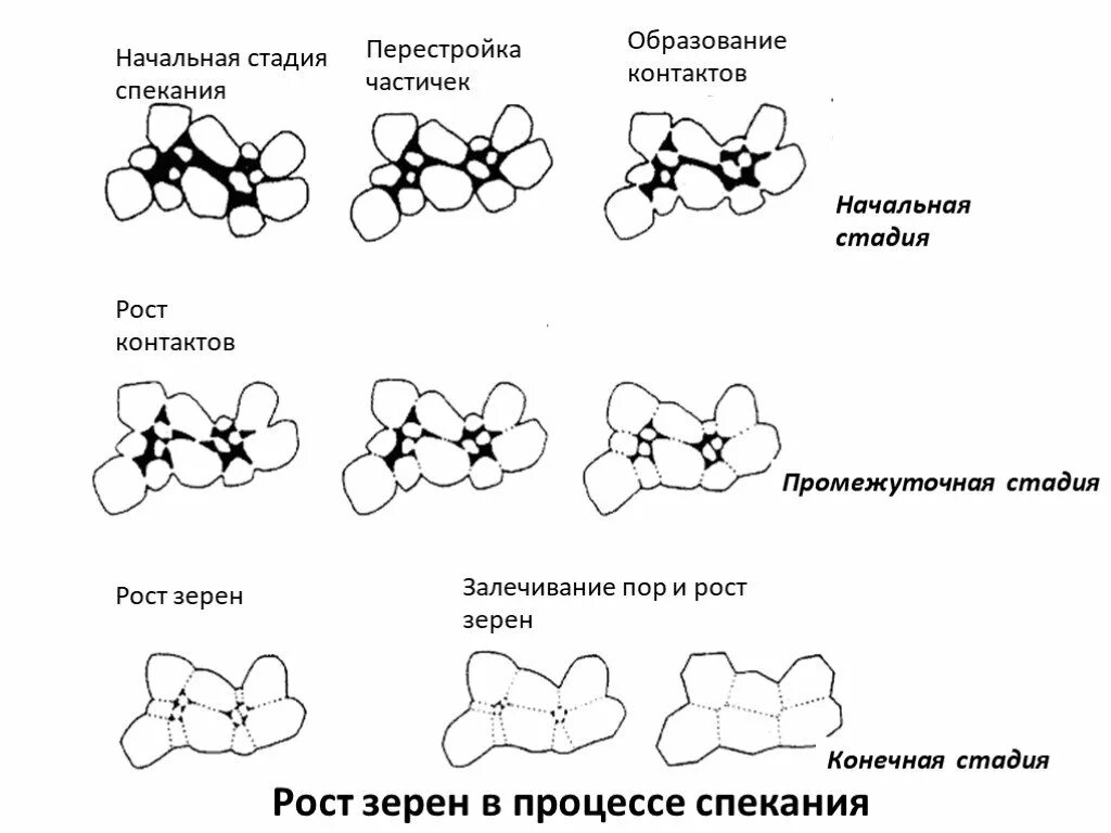 Основные этапы процесса кристаллизации схема. Ячмень ячневая крупа перловка. Процесс кристаллизации металлов. Схема превращения перлита. Схема образования перлита в зерне аустенита.