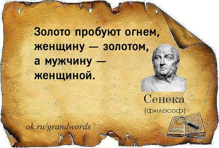 Золотые афоризмы. Золотые цитаты. Золото испытывается огнем женщина золотом а мужчина женщиной. Высказывания про золото. Рим поговорки