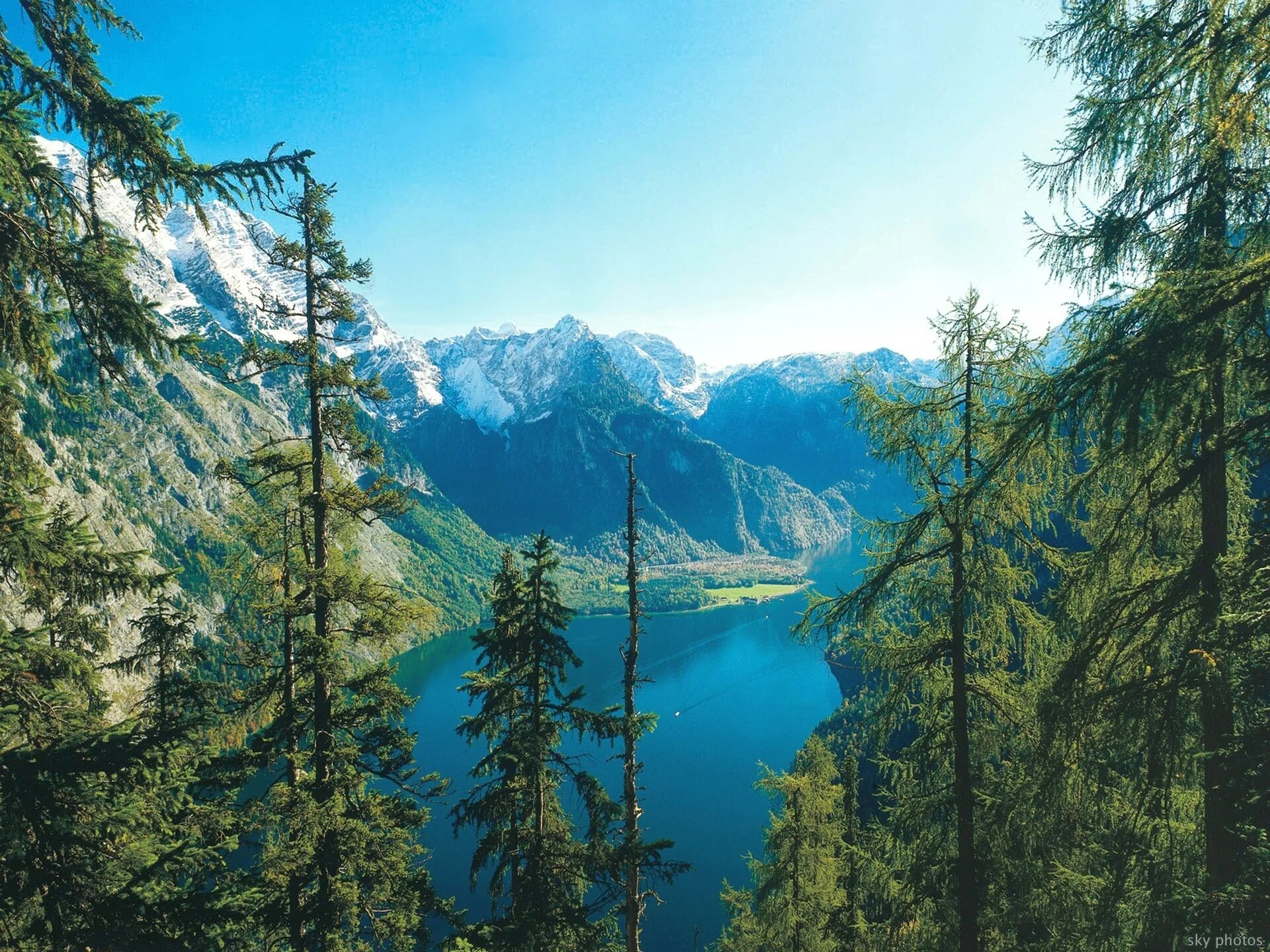 Национальный парк Берхтесгаден Германия. Berchtesgaden National Park озеро. Национальный парк Берхтесгаден животные. Нац парк баварский лес Германия. Природные особенности германии