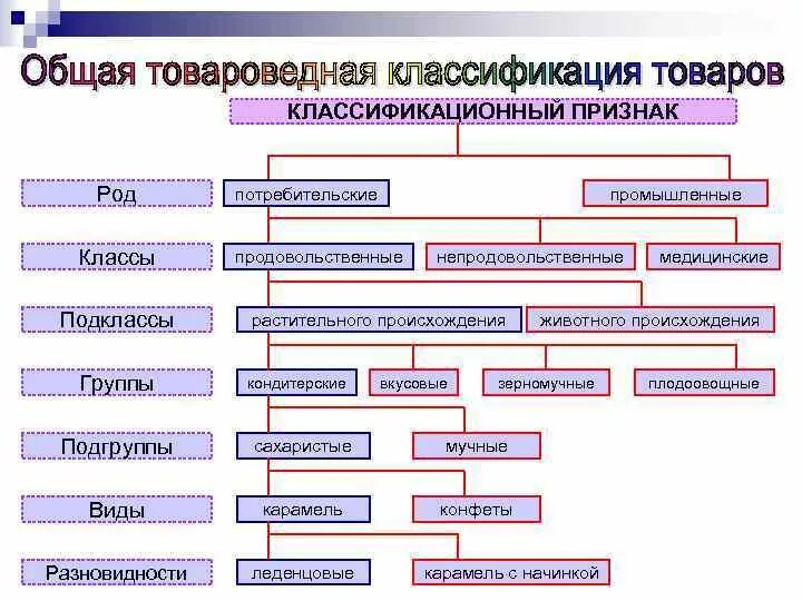 Ассортимент товароведная