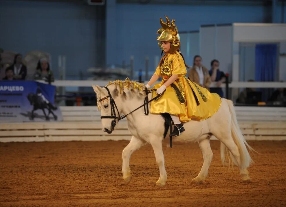 Samba pony wales bonner. Костюмированные соревнования на лошадях. Костюмы для соревнований на лошади. Костюмированный конкур костюмы. Костюмированная выездка.