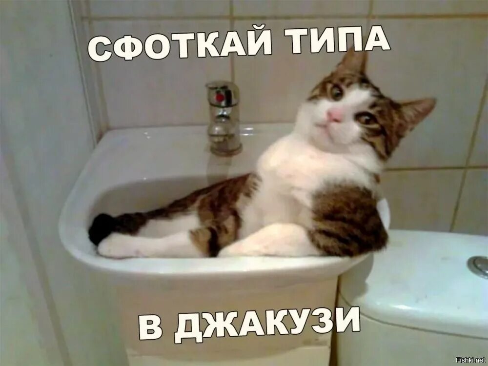 Сфоткаться с девушкой красиво. Шутки про собак. Сфоткай типа. Какой сфоткай. Какой сфоткай.