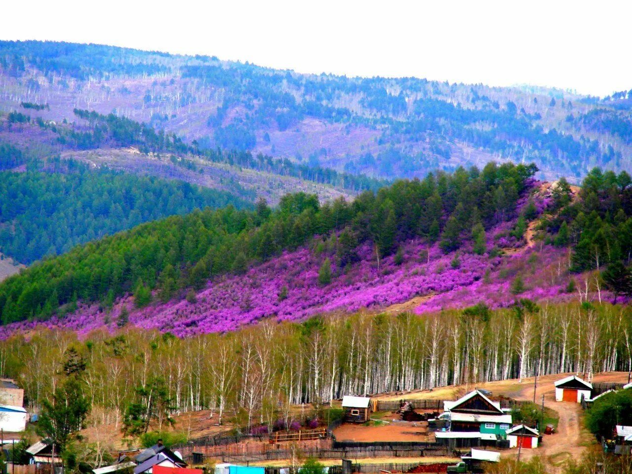 Село чинах. Поселок курорт Дарасун. Курорт Дарасун Забайкальский край. Поселок Нарасун Забайкальский край. Дарасун Чита курорт.