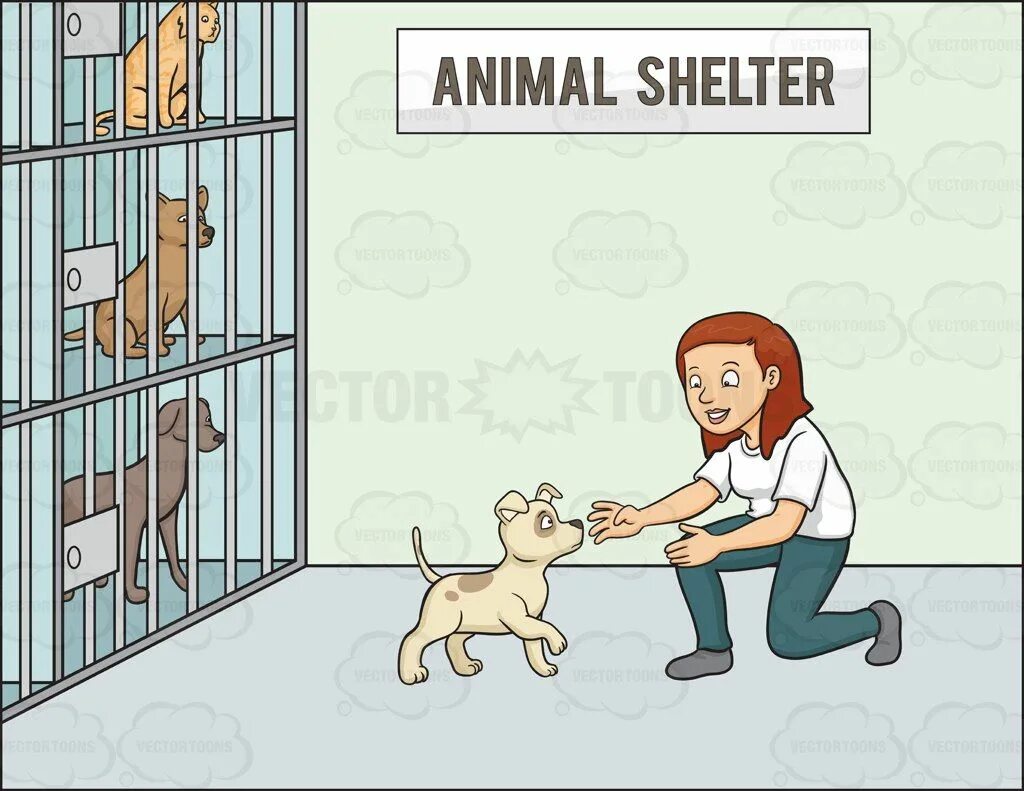 Some animals go to a shelter