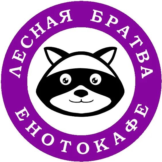 Енот кафе самара. Енот самара.