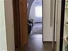 Аренда № 681365846: Генерала Дюсенова Торайгырова, Павлодар за 1800тг. К
