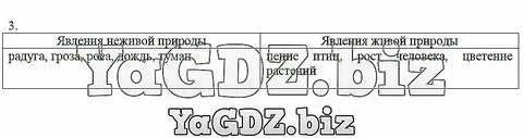 Быть предусмотрены не менее 3