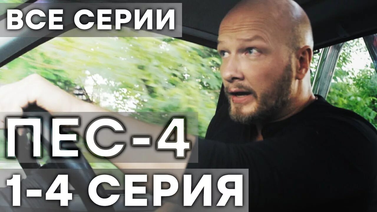 Пёс 4. Пес 4 на дне