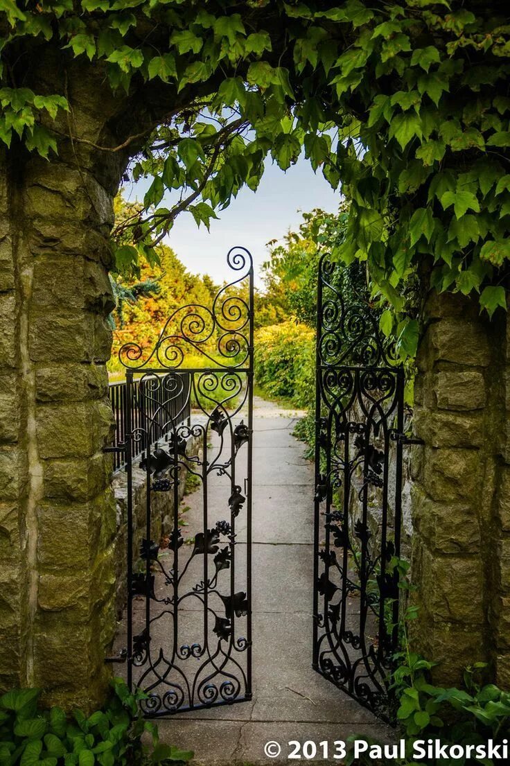 Дверь ворота открытая. Гарден гейт (Garden Gate) плетистая. Калитка сад в стиле Парадиз. Кованая калитка в сад. Металлические калитки в сад.
