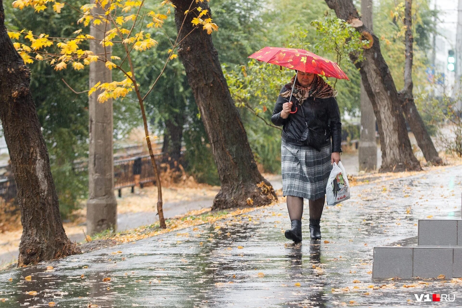 После теплого лета и дождливой осени. Осенний дождь. Прогулка под дождём. Дождливое лето. Бабье лето дождь.
