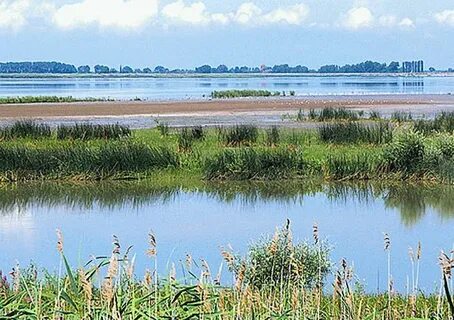 Варнавинское водохранилище